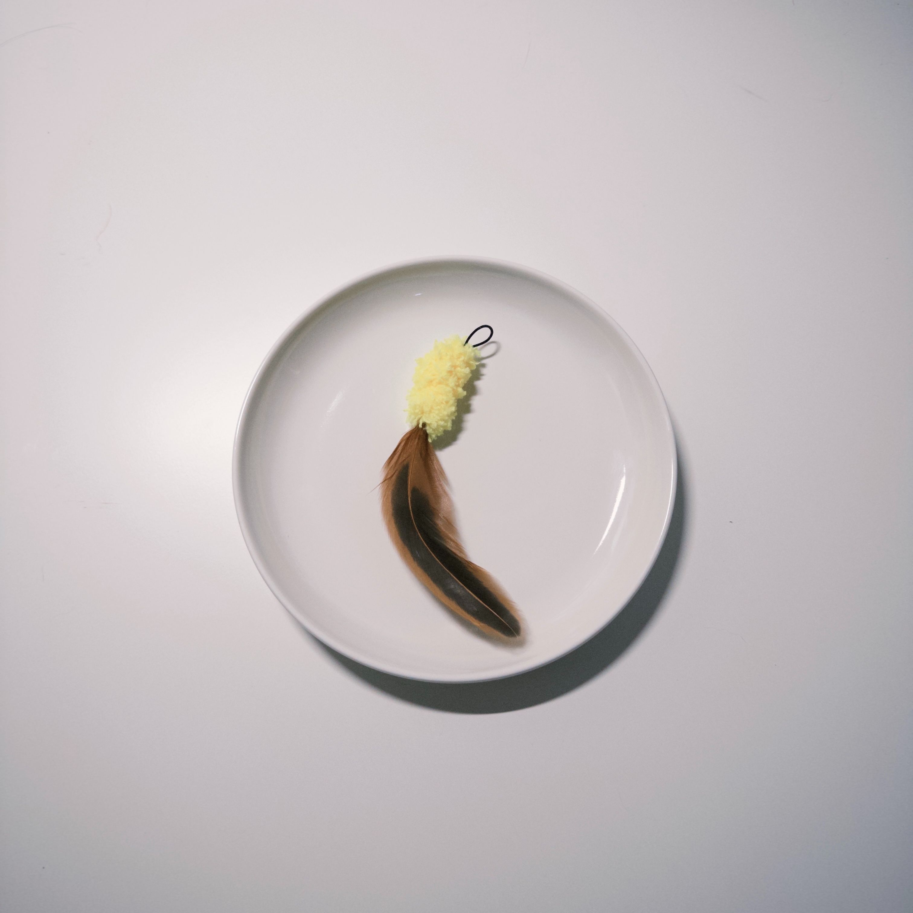 124｜黃喉貂