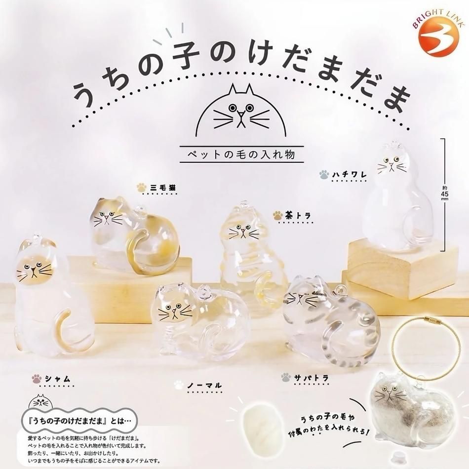 毛毛收納扭蛋+吉伊卡哇威化餅閃卡
