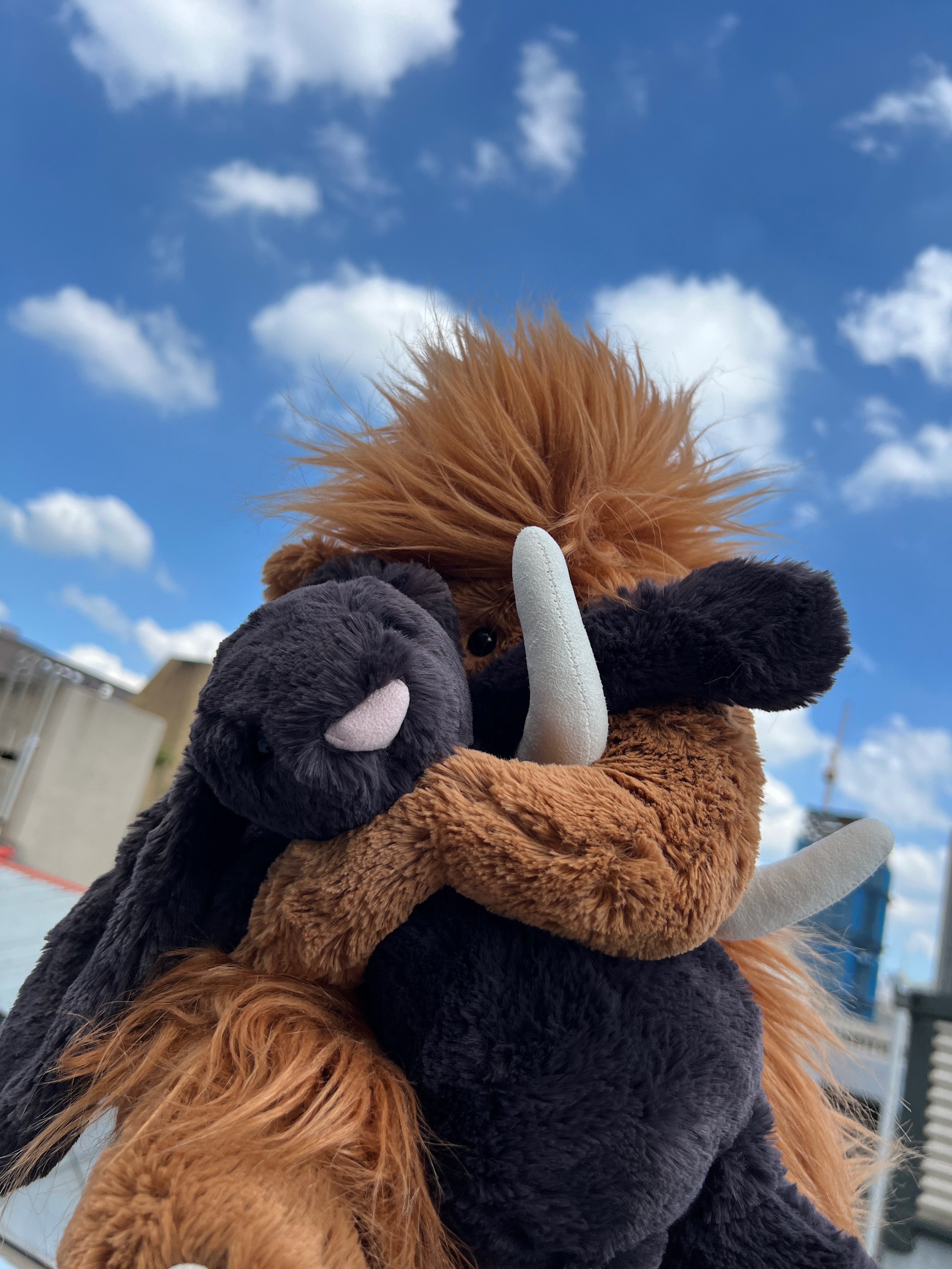 jellycat_絕版區
