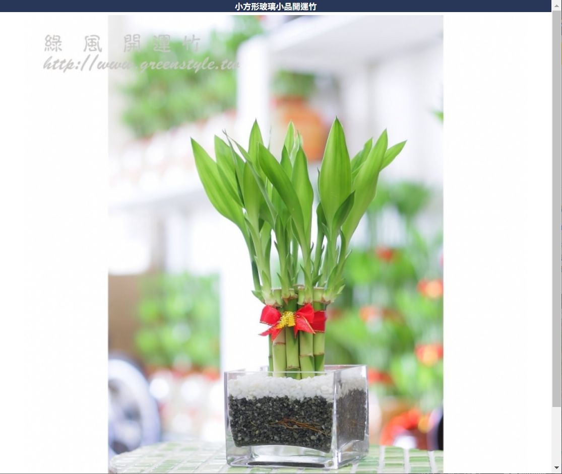 小方形玻璃 小品開運竹