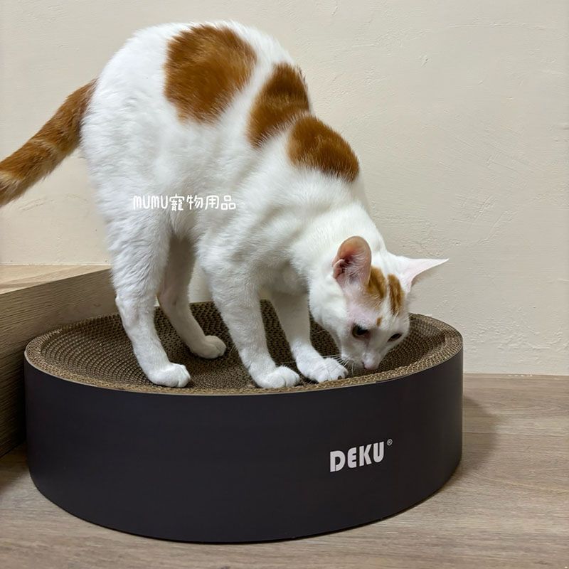 高CP值！養貓必備！大號圓形貓抓窩全網最低199元貓抓板