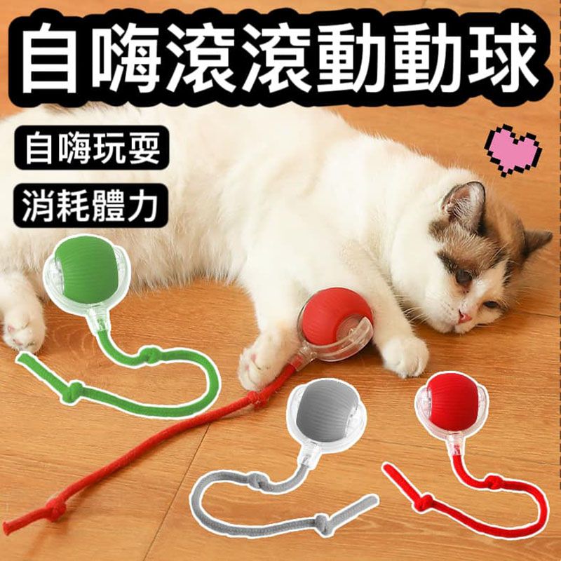 現正最夯！自嗨滾滾動動球貓咪追逐玩具 狗狗玩具