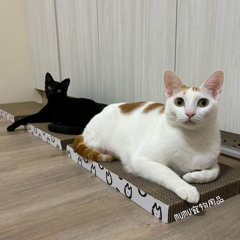 獨家訂製MU平面貓抓板 （ 平均一片只要33元 ‼️ ）