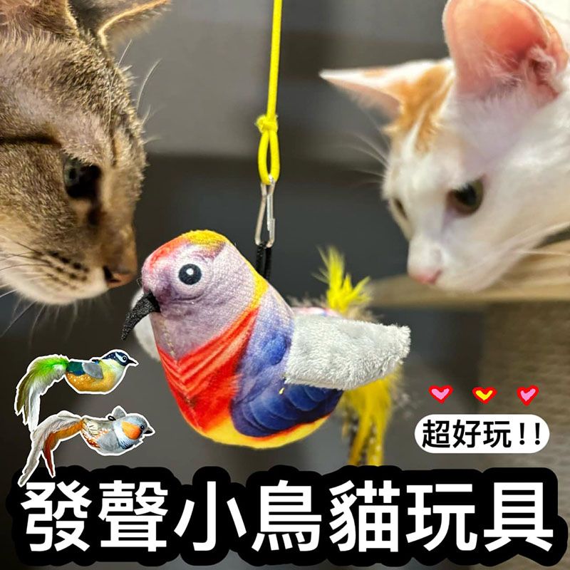 太好玩‼️家裡貓咪超級愛 發聲小鳥垂吊貓咪玩具