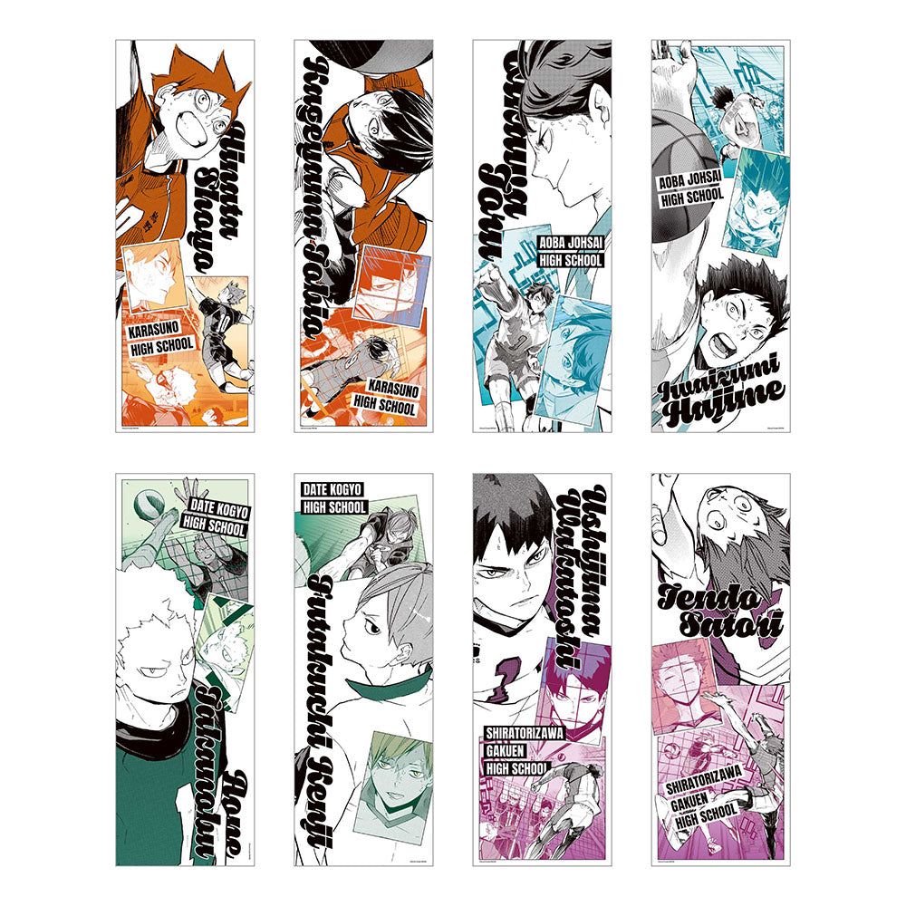 現貨 排球少年 JF25原畫海報