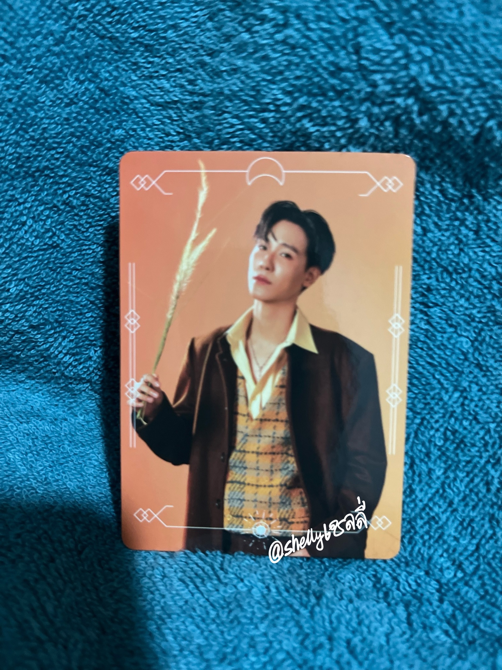 JUNIORMARK SHINERISE FANCON 隨機卡（2025年8月演唱會）