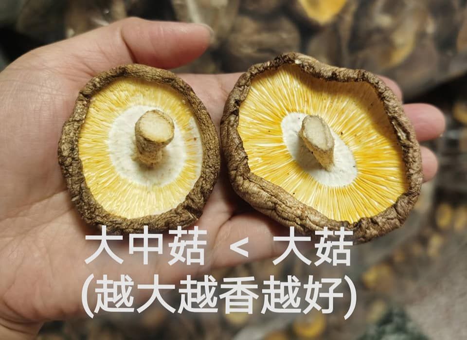老行口親選【台灣高山乾香菇全系列300公克】