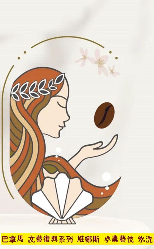 ✭巴拿馬文藝復興系列 維娜斯 小農藝伎 水洗1公斤真空裝