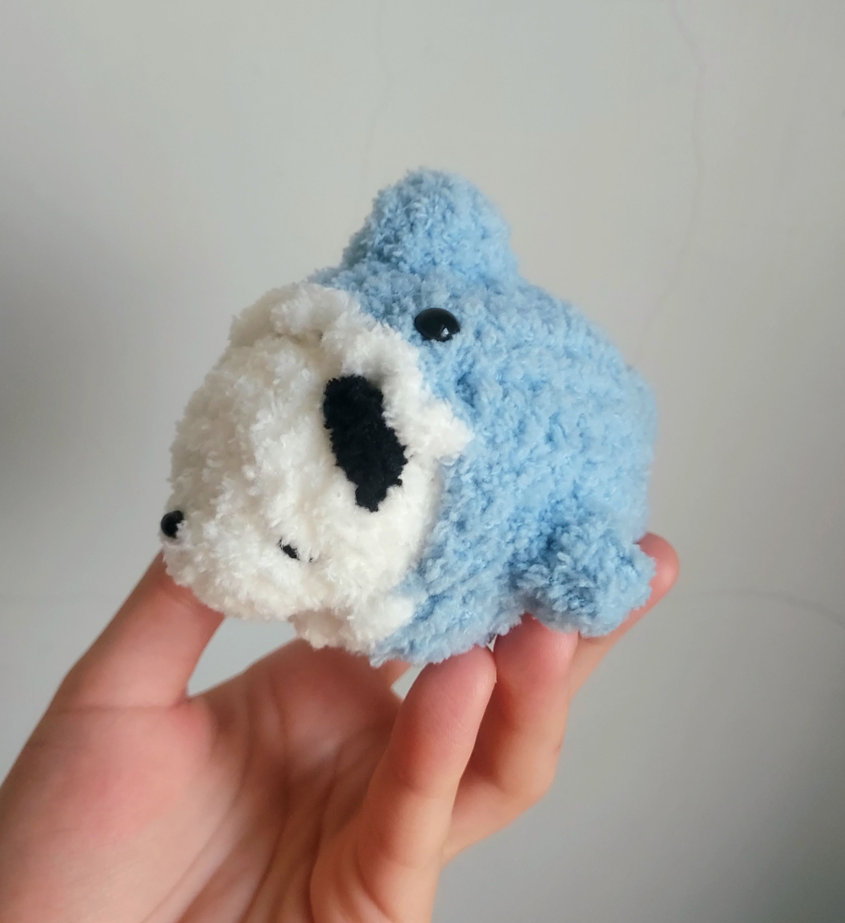 鯊魚小熊