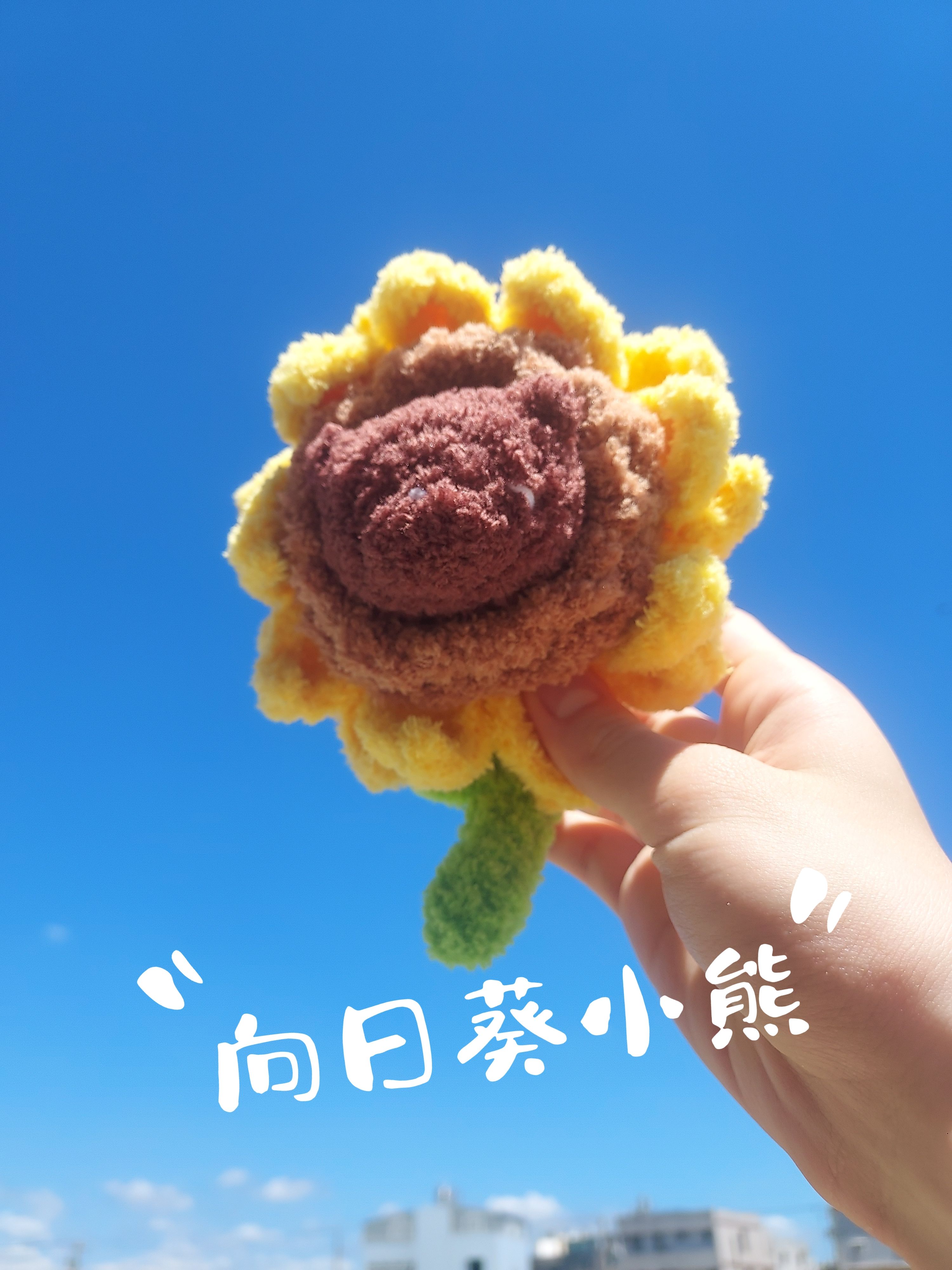向日葵小熊