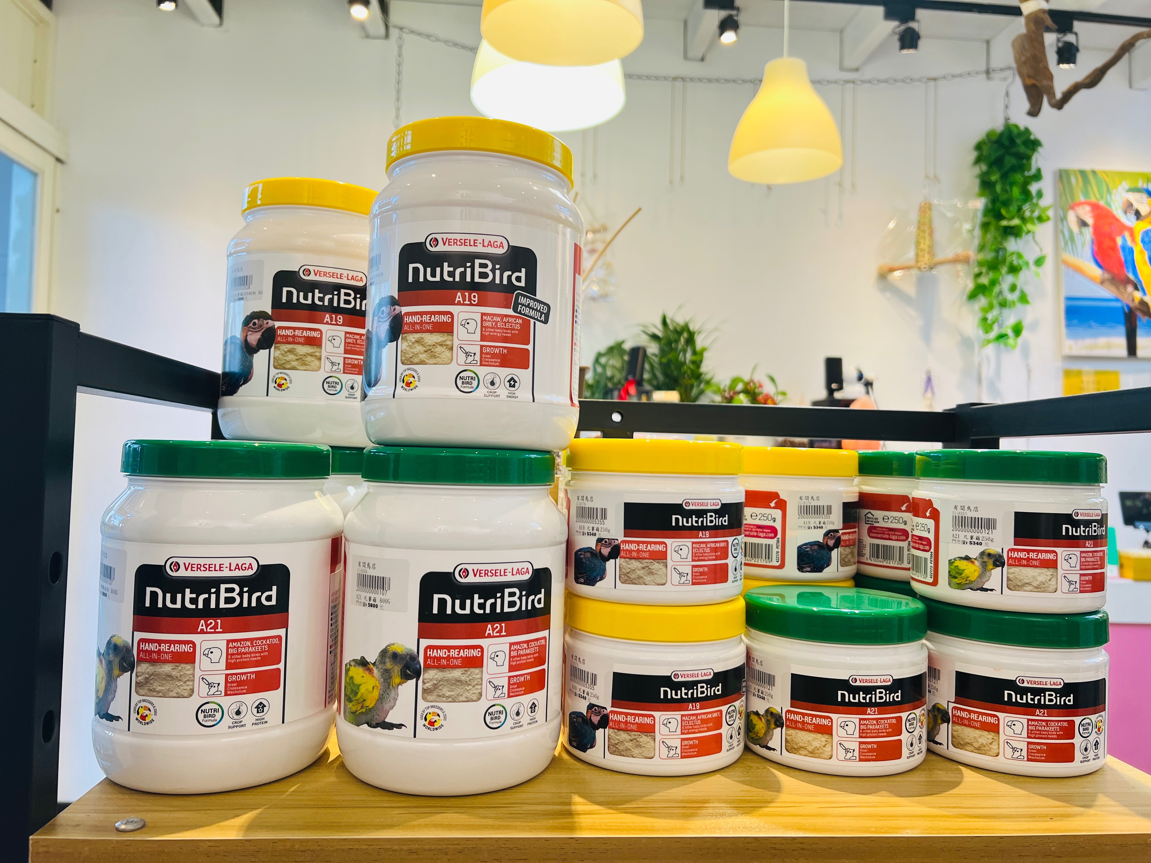 凡賽爾A19/A21手養奶粉