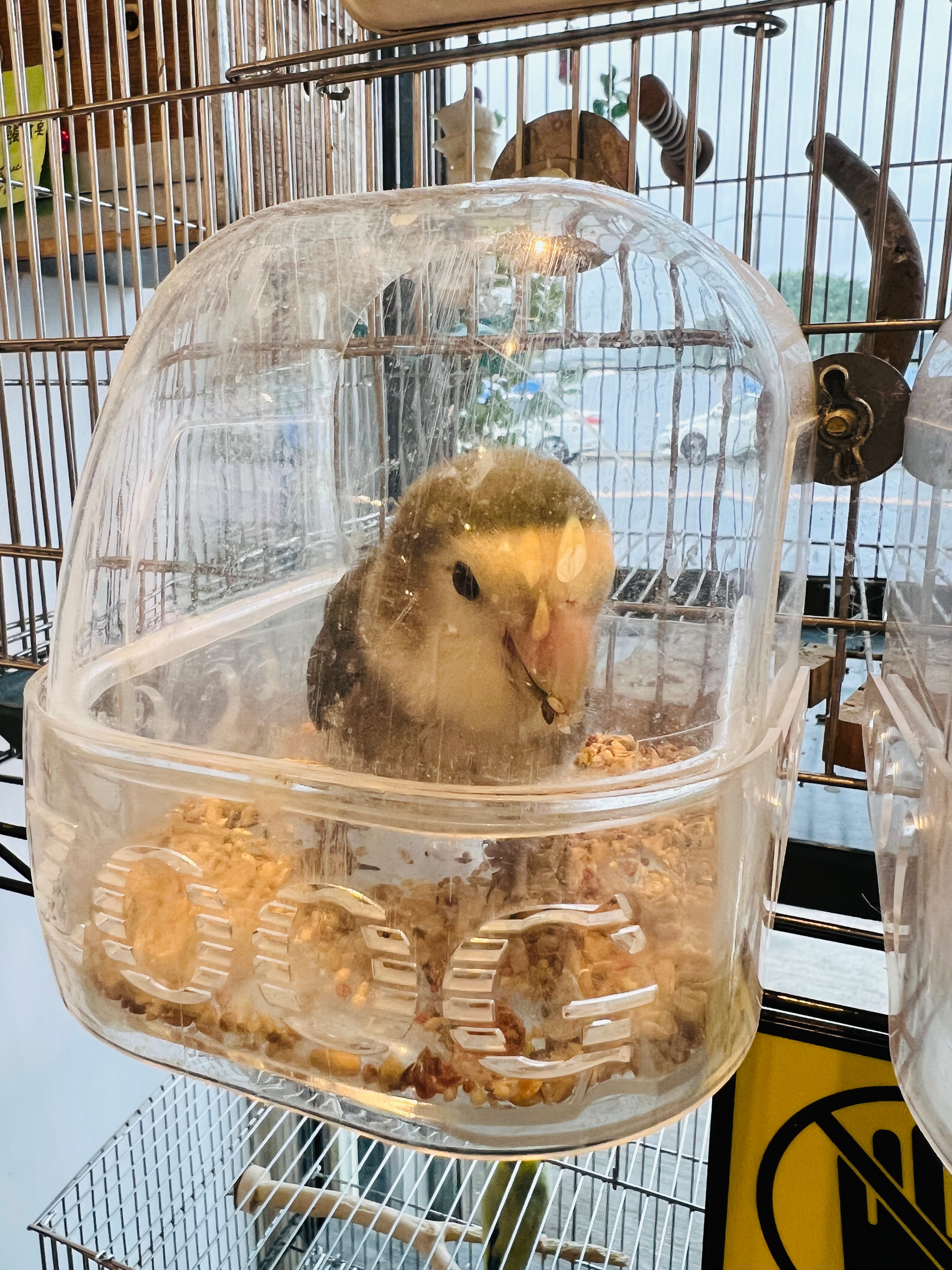 超好用防潑飼料盒