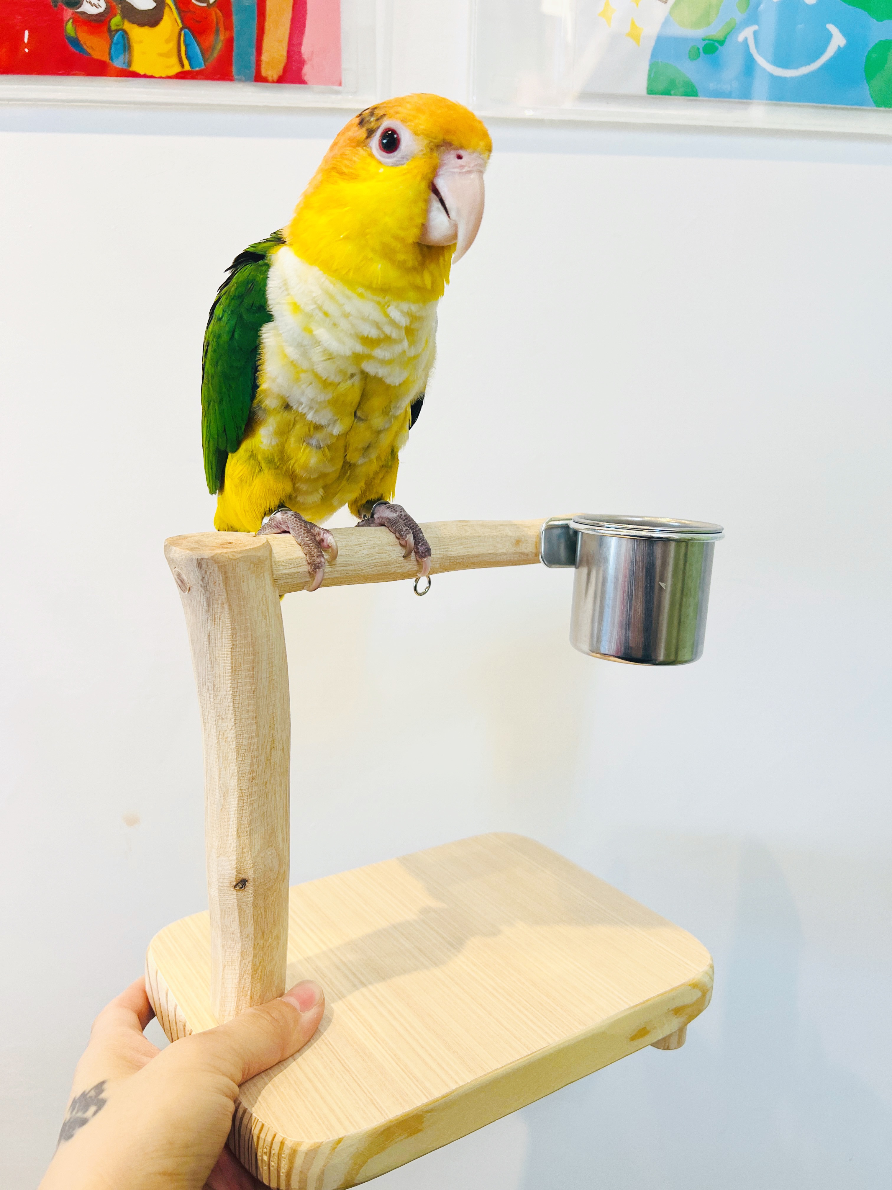 手工實木桌上型站架