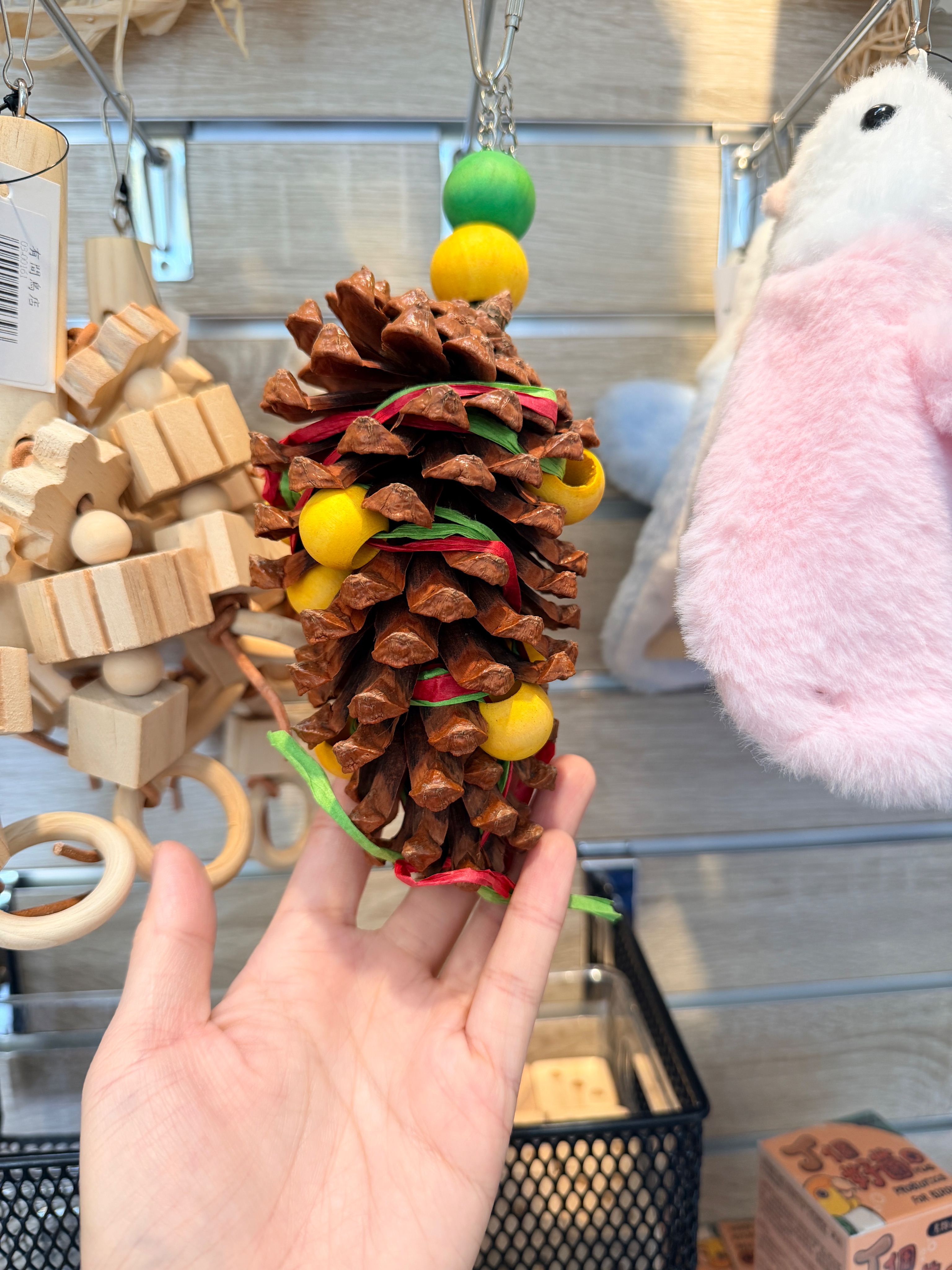 天然聖誕樹松塔