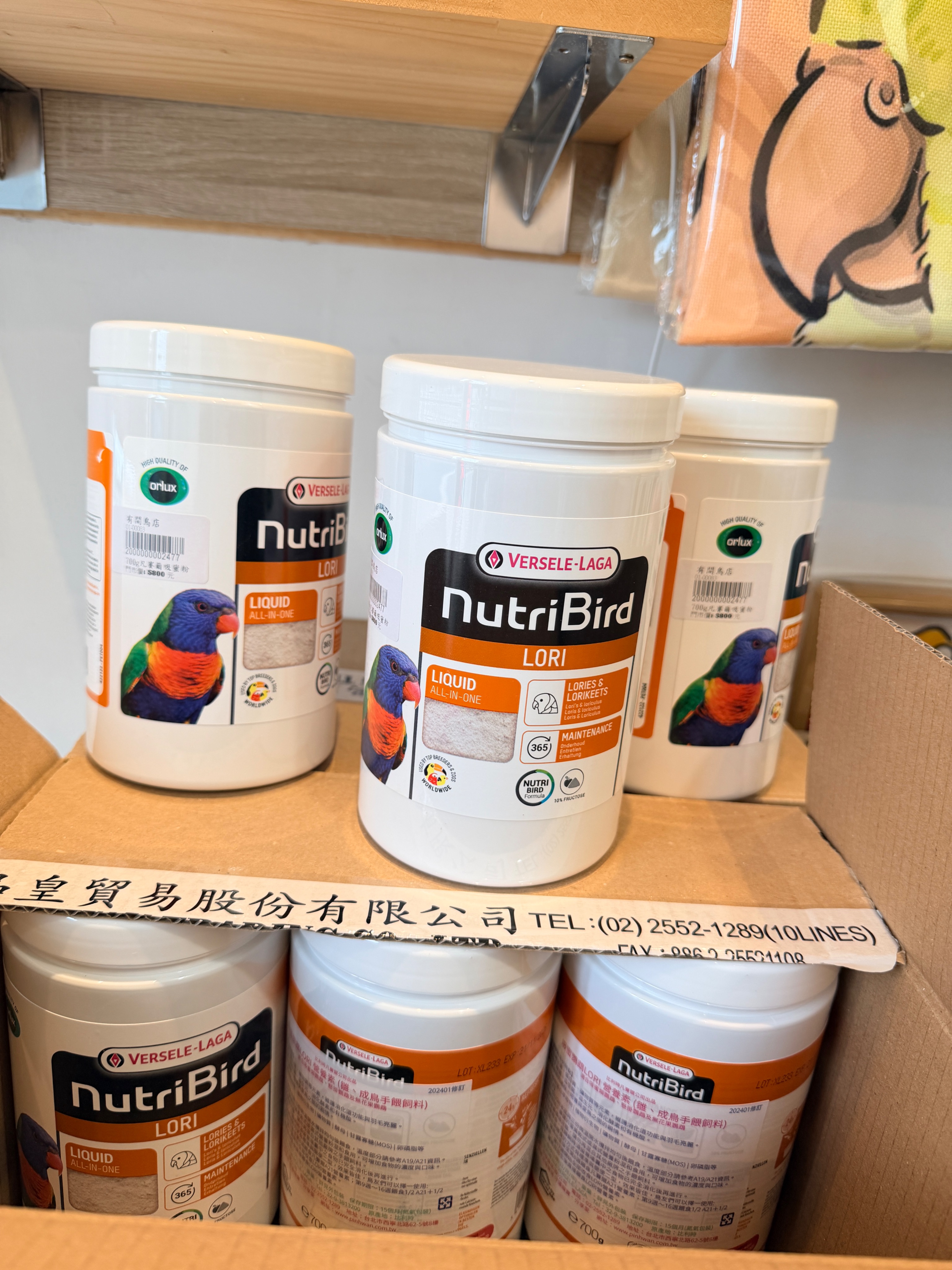 凡賽爾Lori吸蜜粉