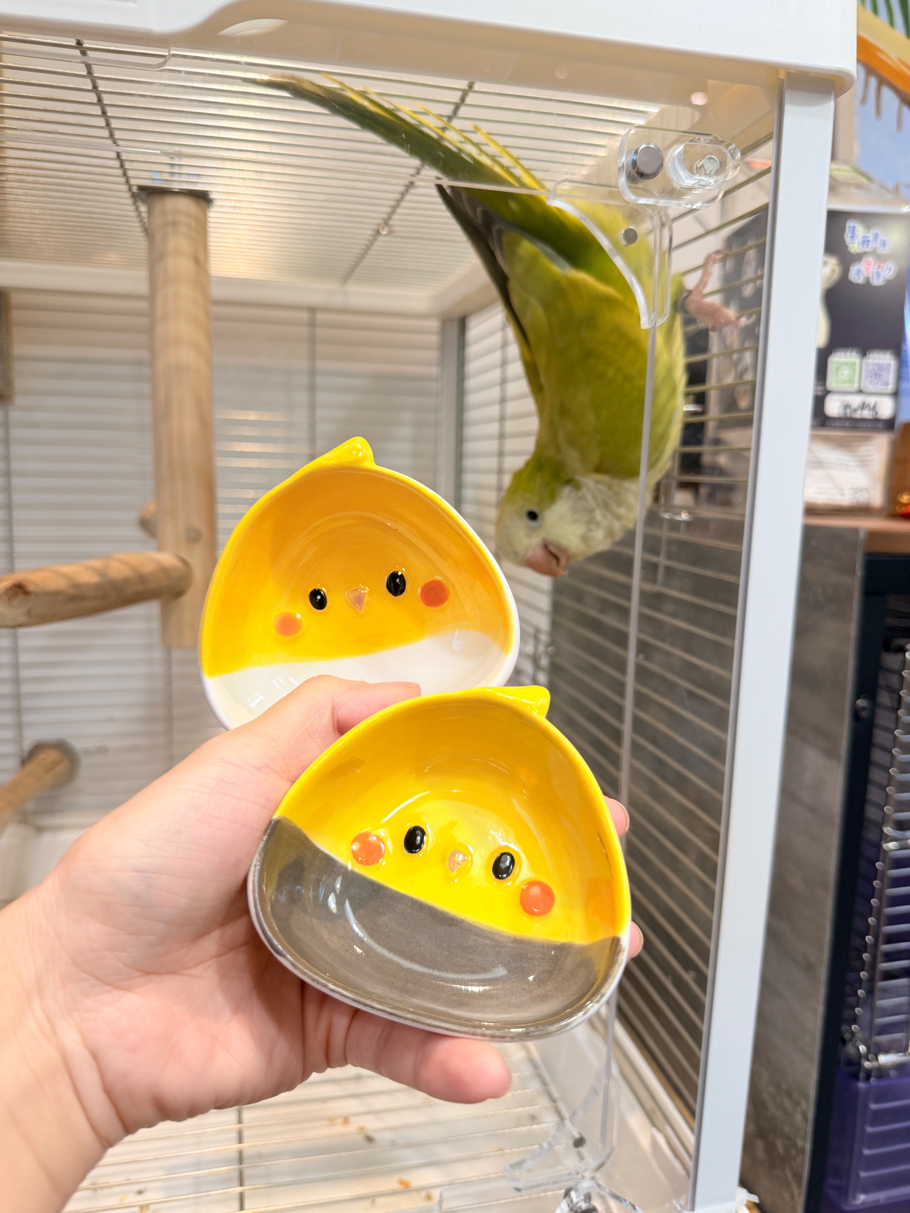 玄鳳陶瓷學吃碟