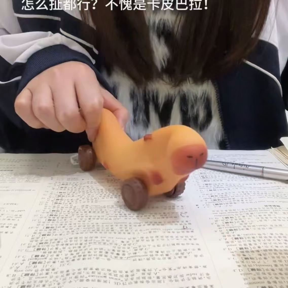 卡皮巴拉拉拉車