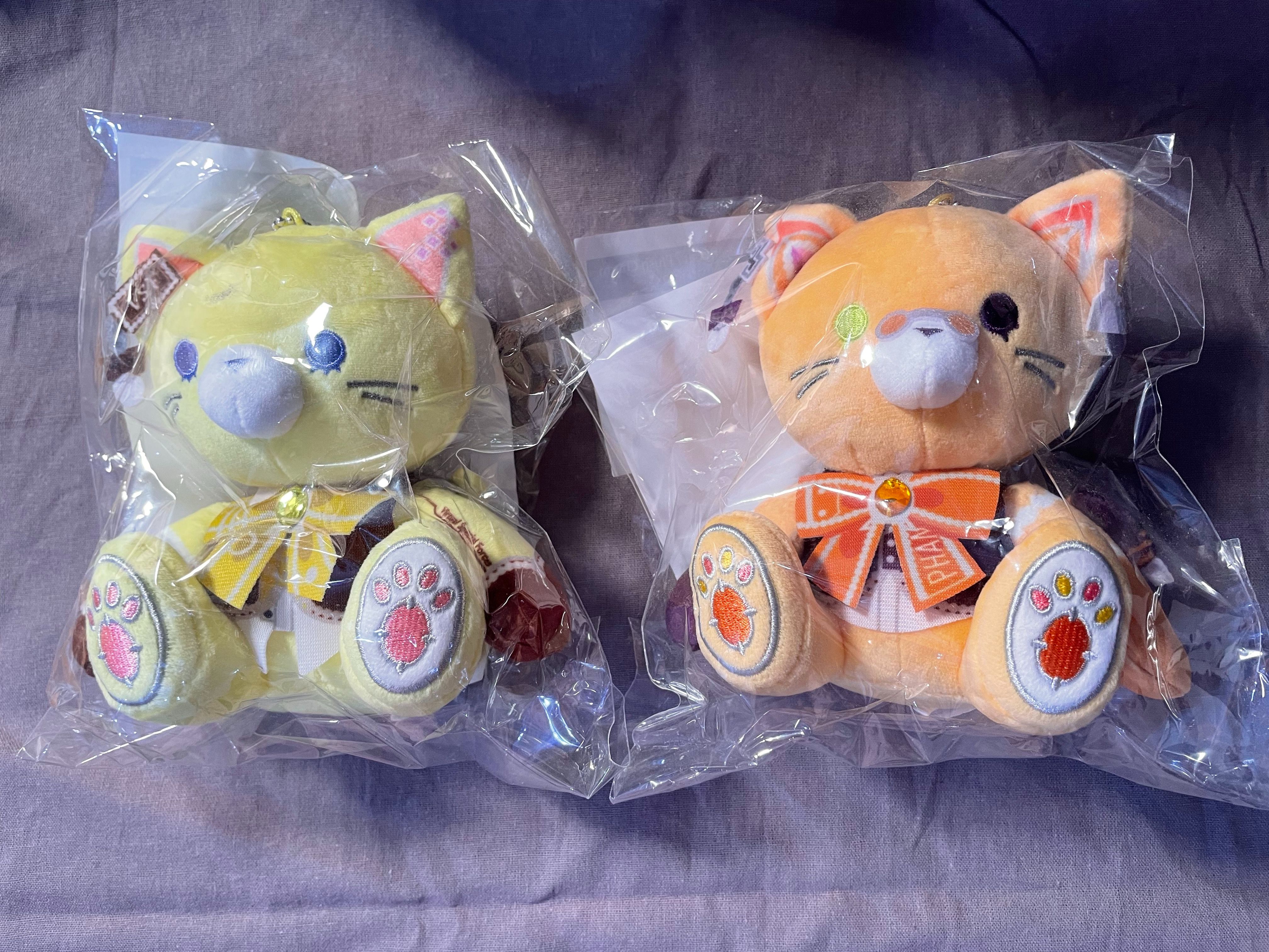 sonny. alban 貓咪布偶 800