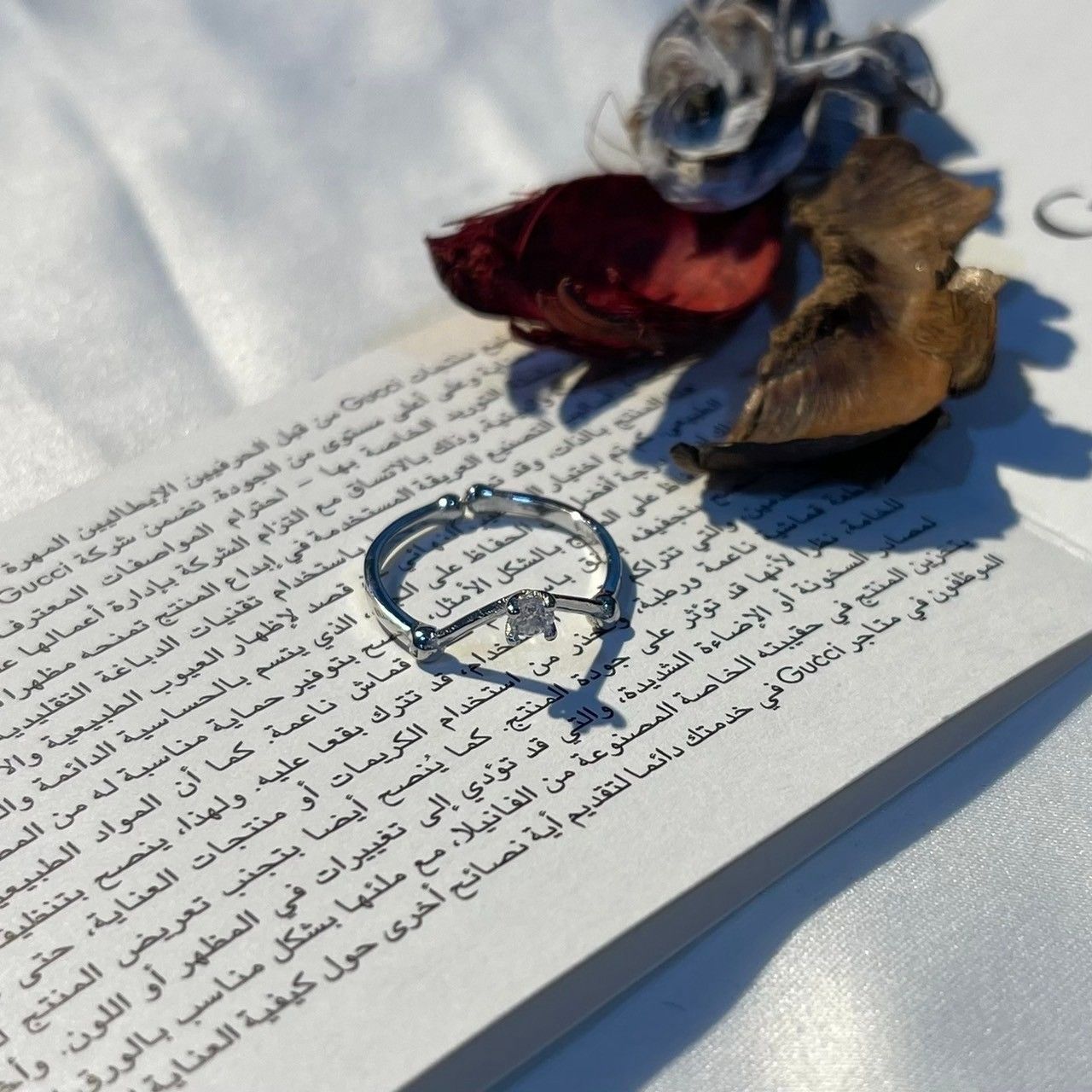 S925純銀鑲鑽簡約彎線條戒【預購】