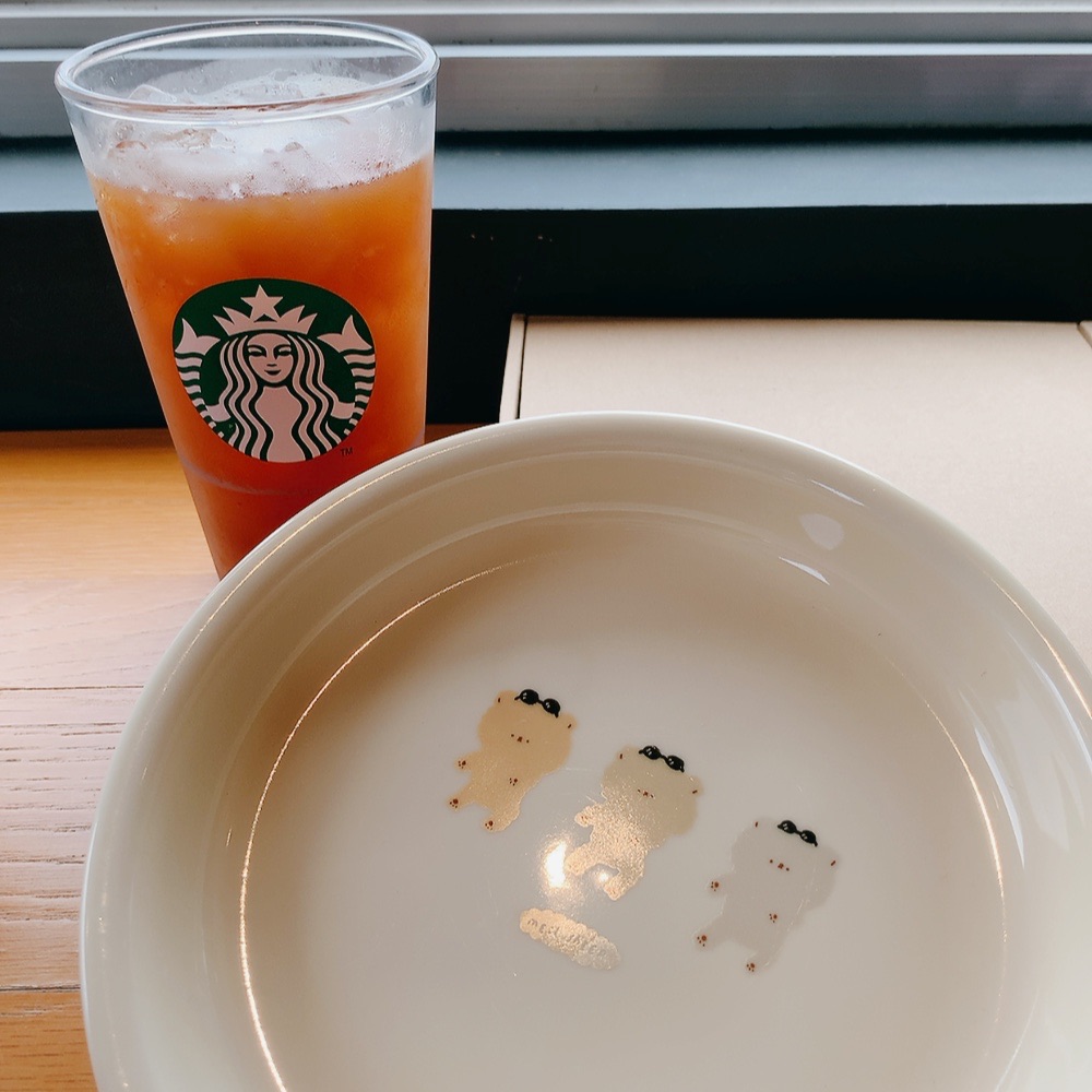 〖 曬三階的三色小熊盤子 〗