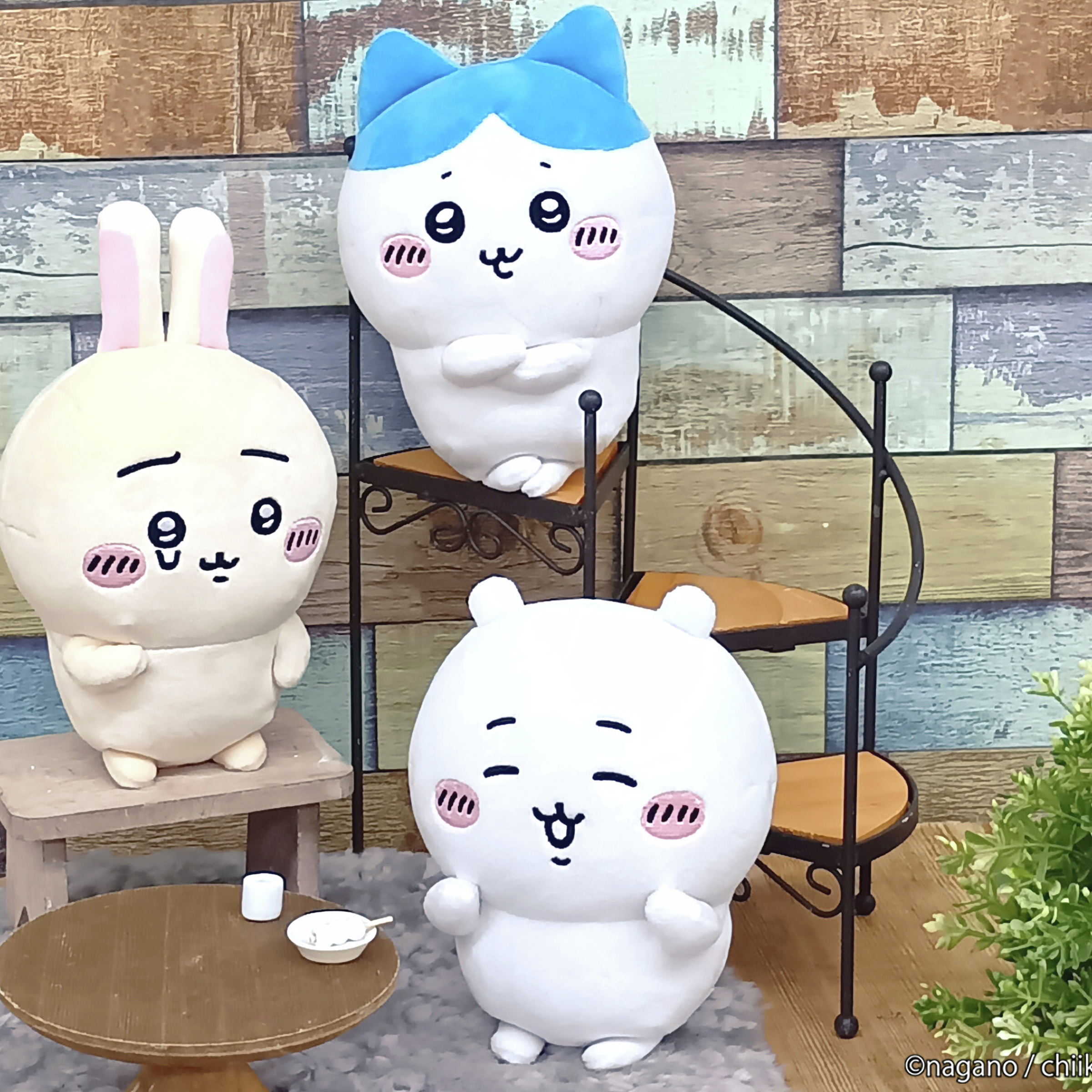 ❊0116自嘲熊新品-靈魂交換❊