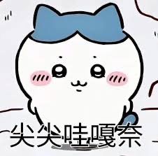 小八貓｜小八區