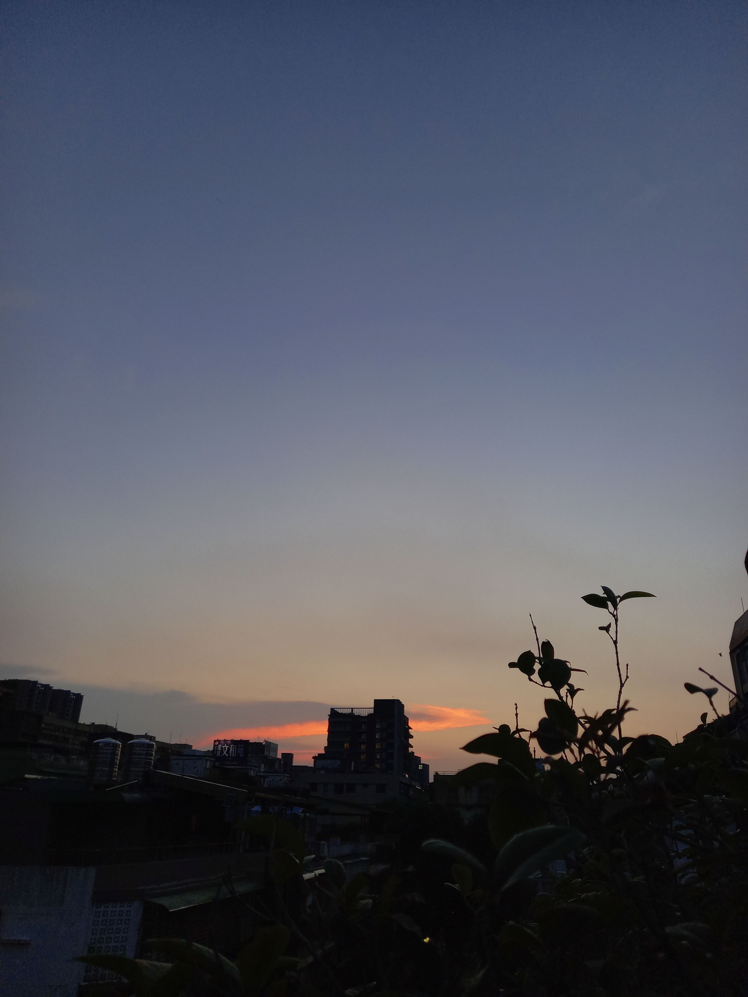十月份已完售  感謝訂購