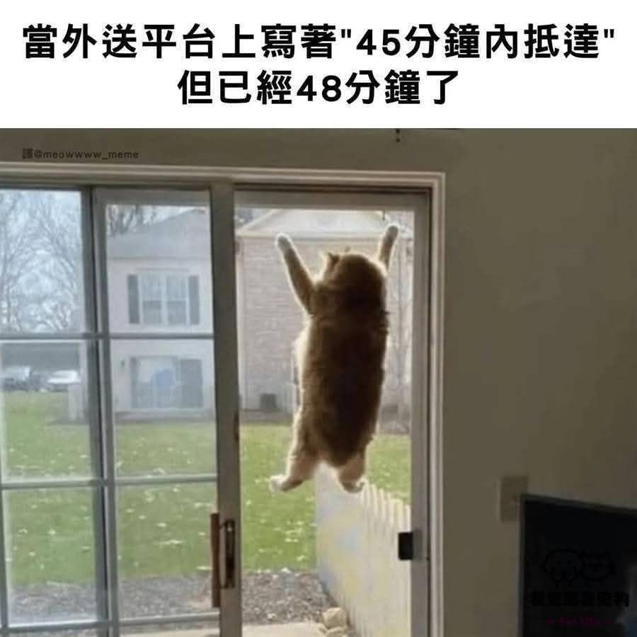 10cm