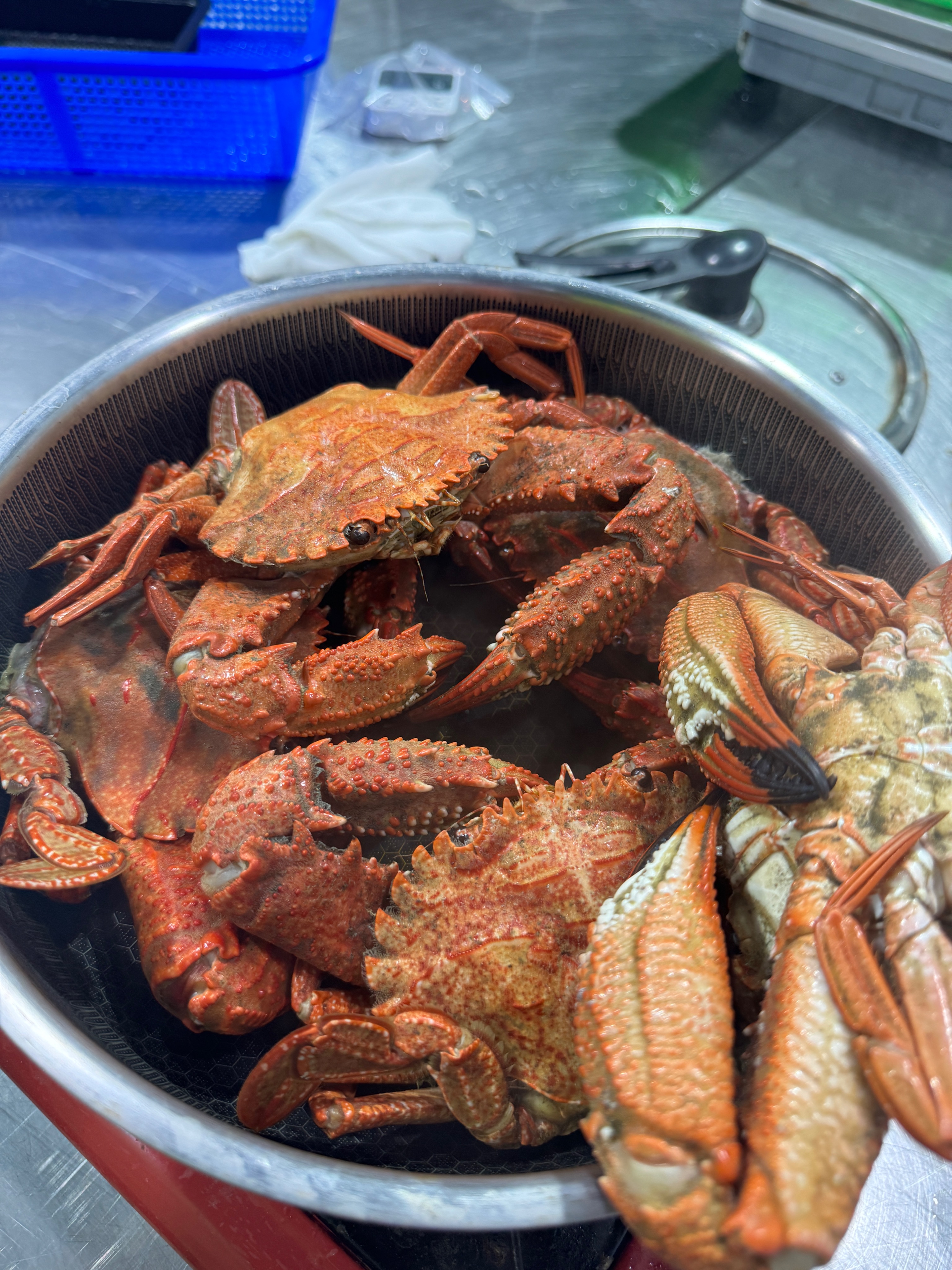 🦀澎湖｜野生石蟹（活凍）