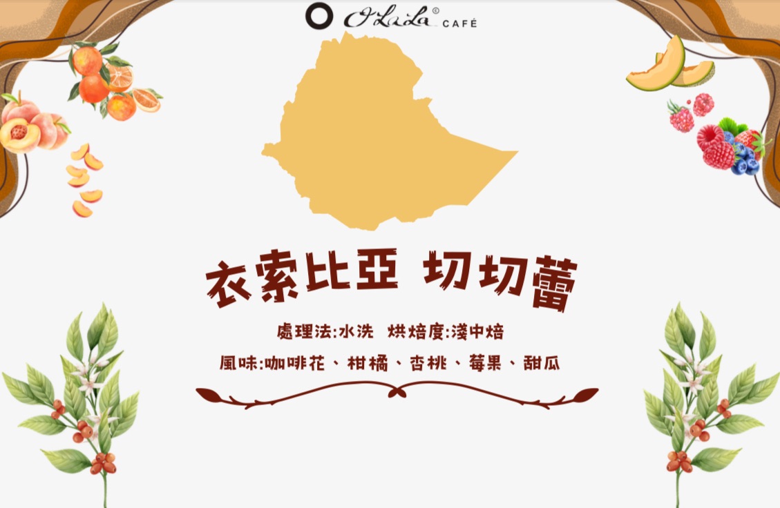 衣索比亞 切切蕾處理廠