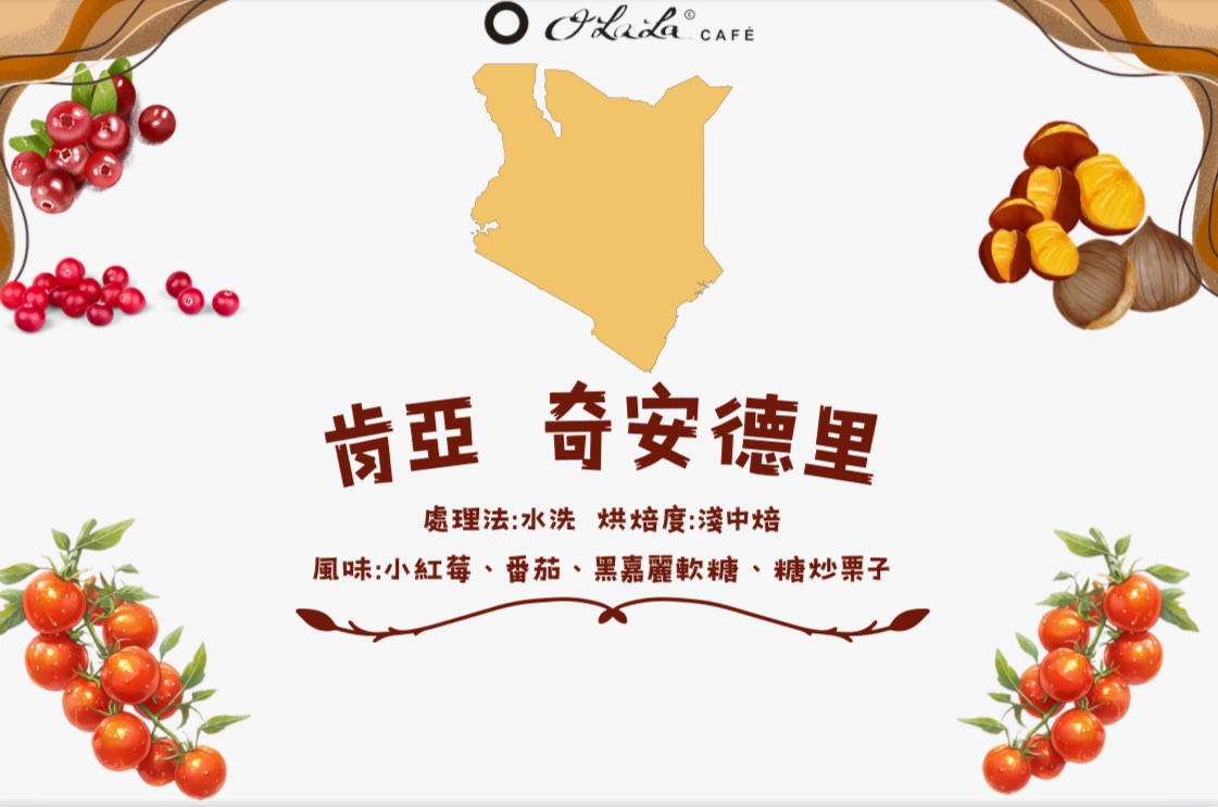 肯亞 奇安德里處理廠 咖啡豆