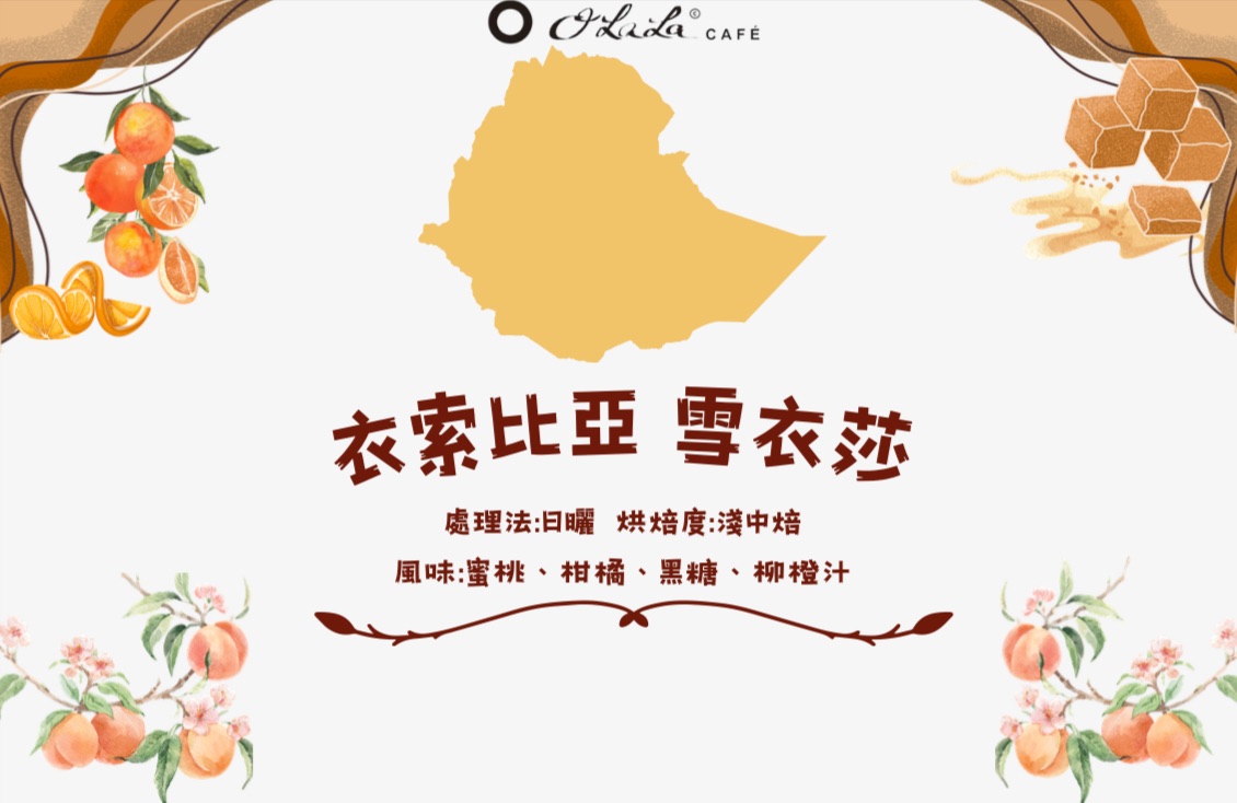 衣索比亞 雪衣莎 G1 咖啡豆