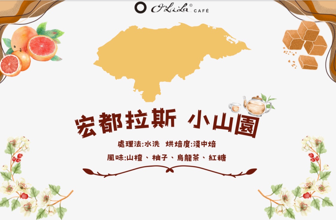 宏都拉斯 小山圓  咖啡豆