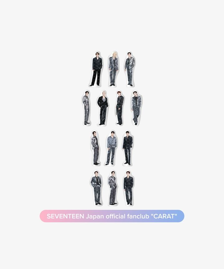 🐢【預購中】SEVENTEEN ＜RIGHT HERE IN JAPAN＞ 官方周邊-隨機METALLIC STICK