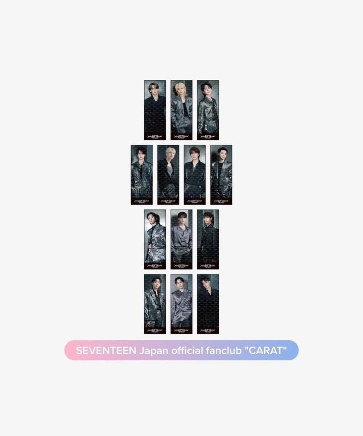 🐢【預購中】SEVENTEEN ＜RIGHT HERE IN JAPAN＞ 官方周邊-照片毛巾🐢