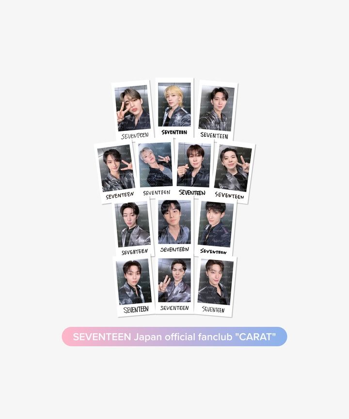 🐢【預購中】SEVENTEEN ＜RIGHT HERE IN JAPAN＞ 官方周邊-隨機拍立得貼紙🐢
