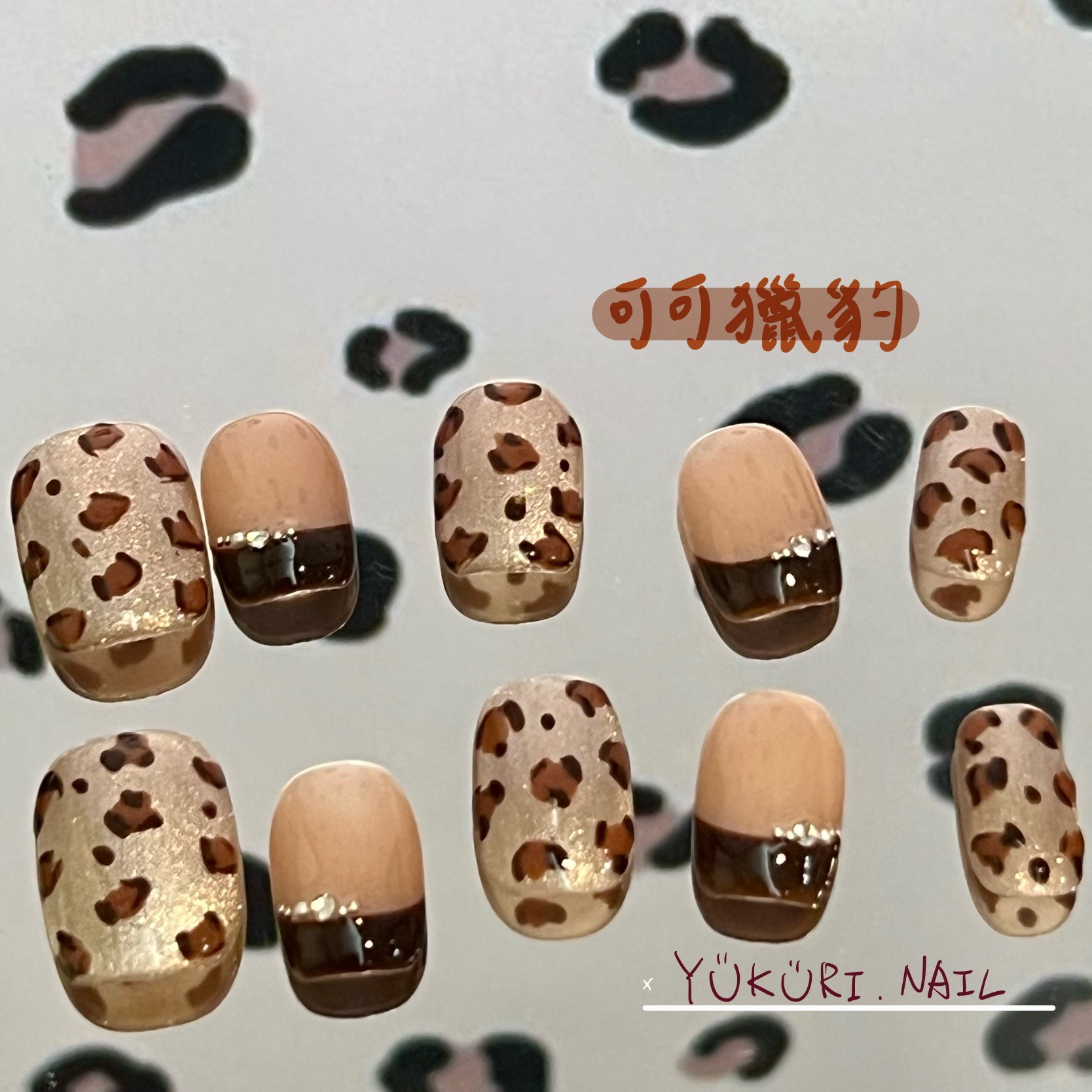 [現貨] 可可獵豹