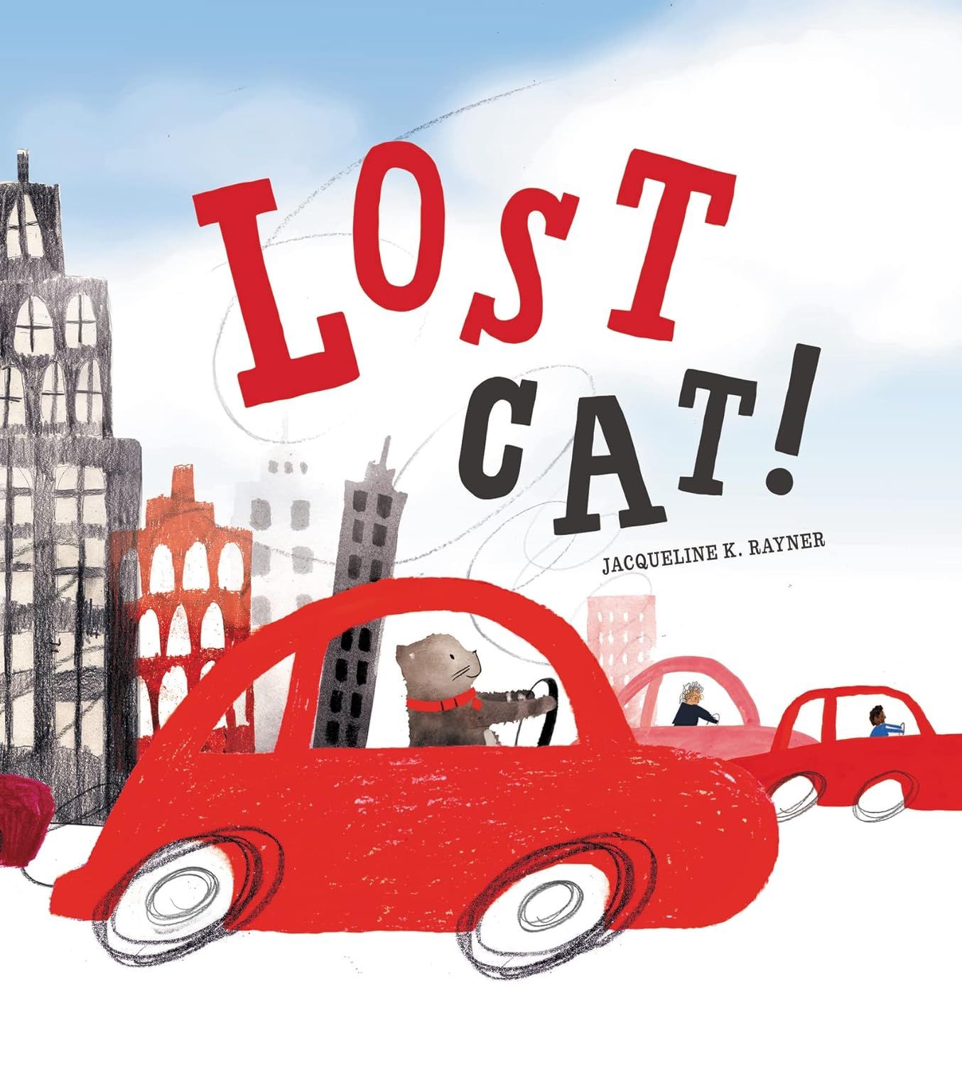 英文繪本 / Lost cat