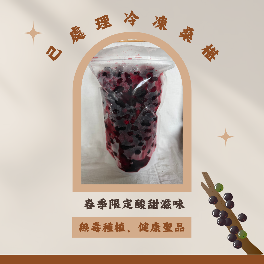 （春天限定）桑椹果醬 ＆ 冷凍處理桑椹