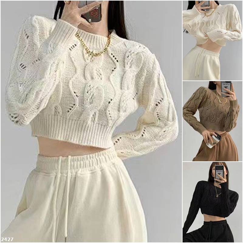 秋冬麻花半高領短款長袖針織衫