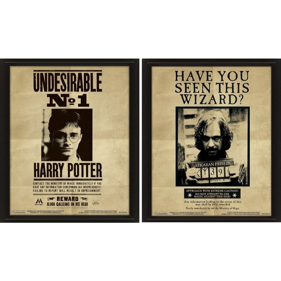 【哈利波特】波特/天狼星通緝令 – 3D海報 Harry Potter / Sirius（含框）