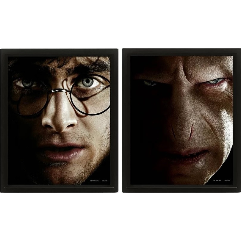 【哈利波特】哈利波特＆佛地魔 3D海報（含框） /Harry Potter