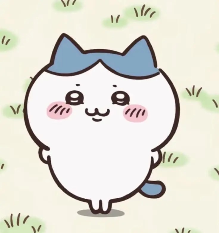 可以單出區（娃區）🩵