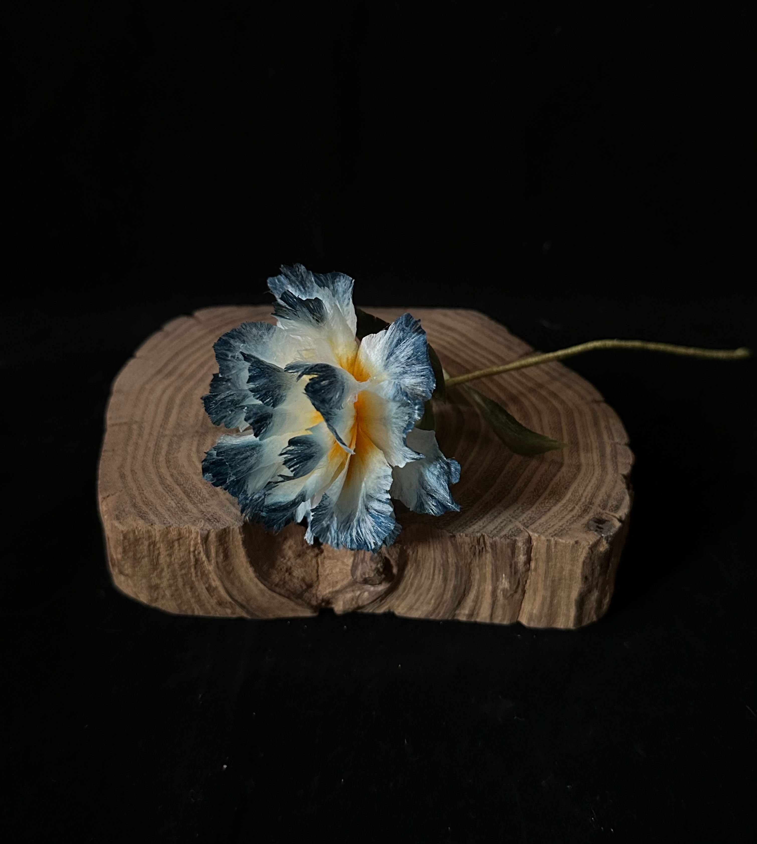 現貨 藍色康乃馨（不含木底座）