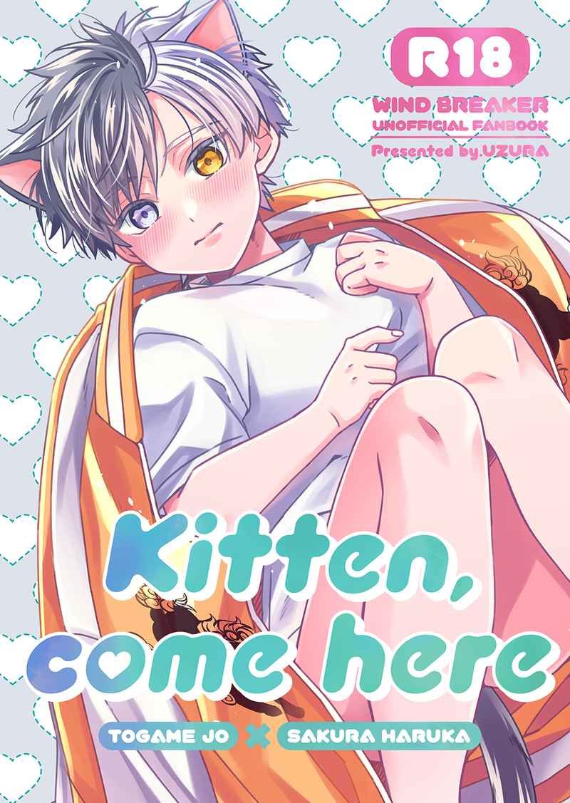 （龜櫻）Kitten，come here