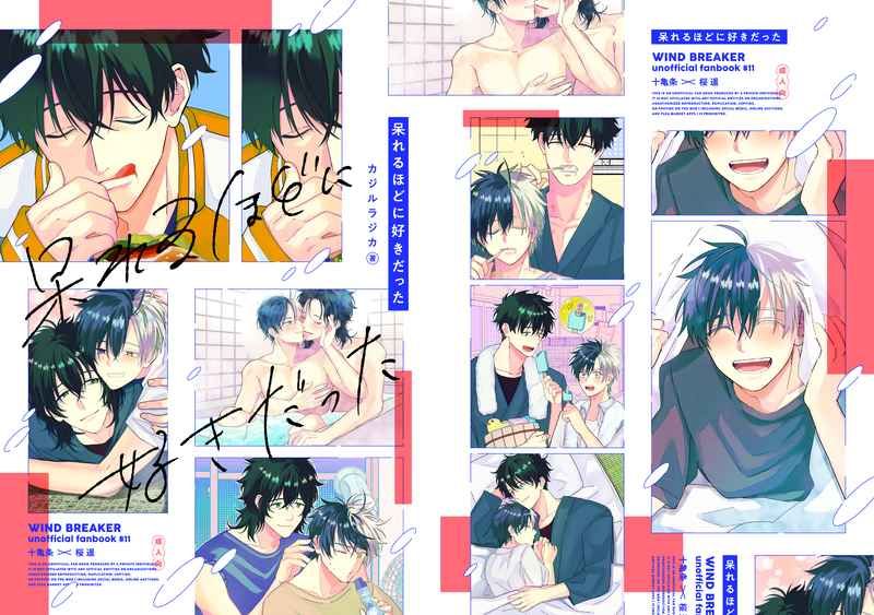 呆れるほどに好きだった