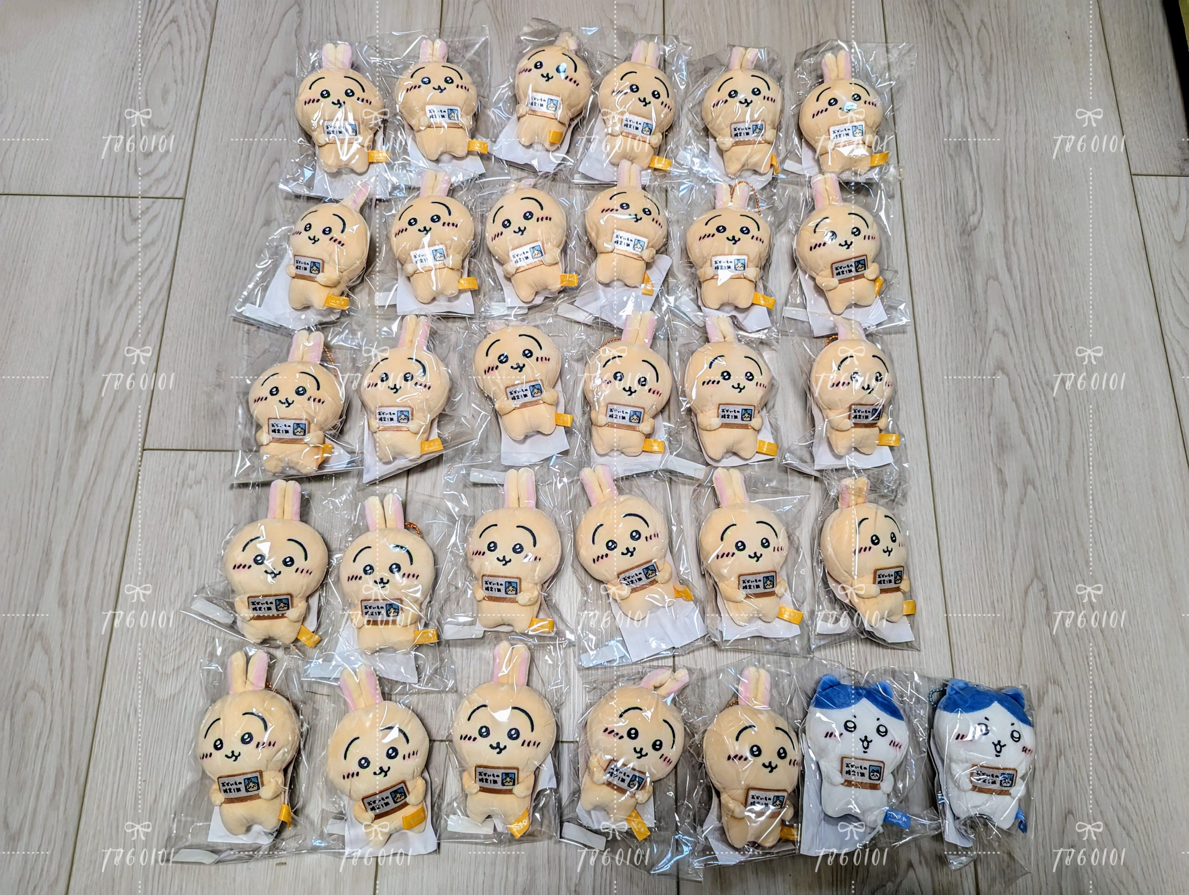 【全新在台現貨】Epos 一級購物檢定