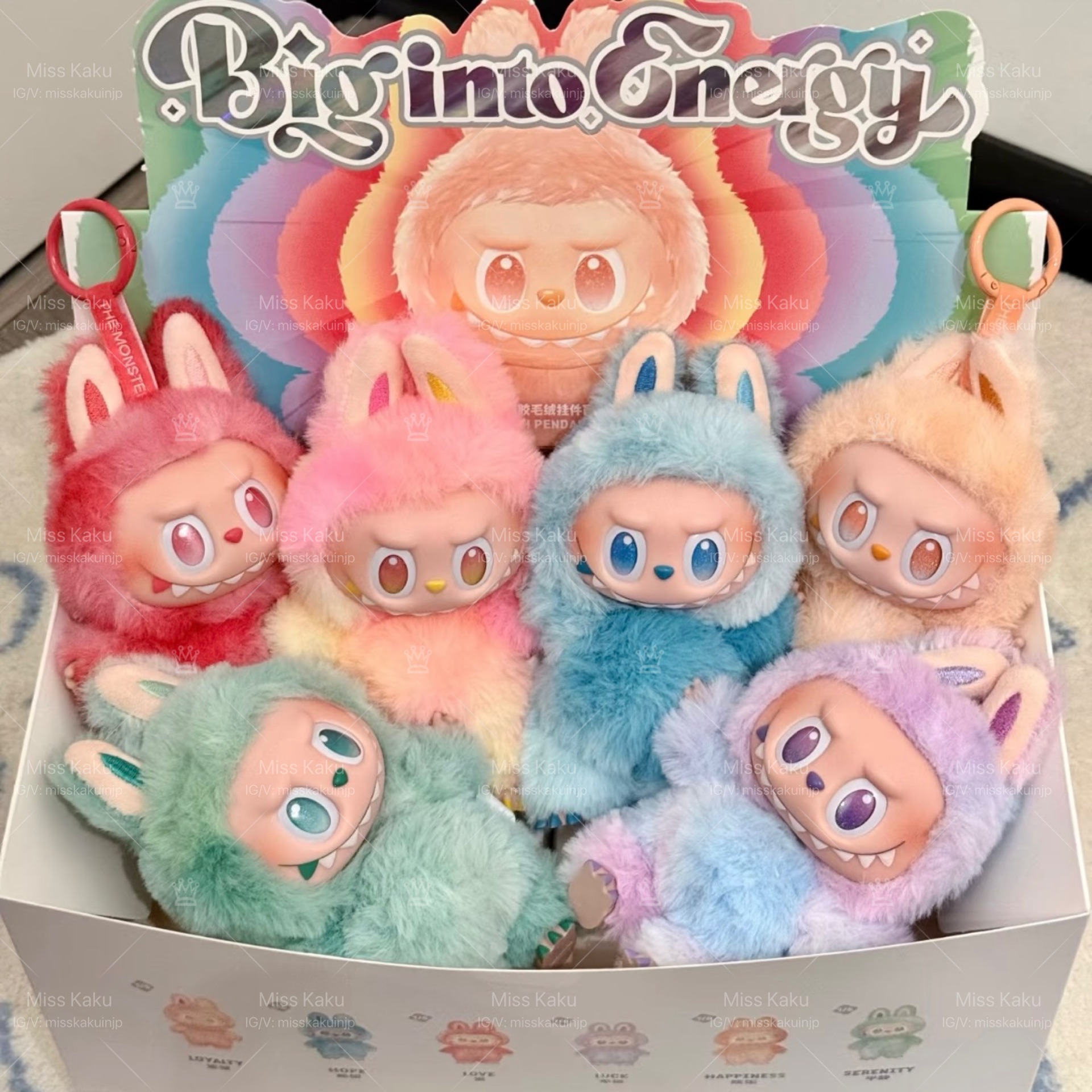 [現貨] [已拆盒確認款] 🖤 全新泡泡瑪特 LABUBU 前方高能掛件