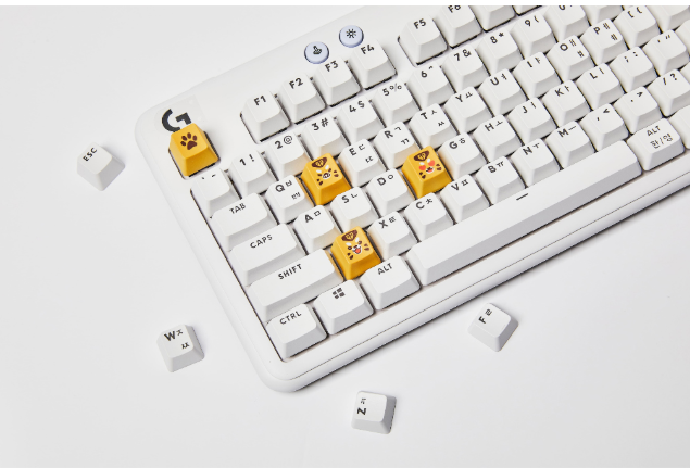 GenRang Keycap set