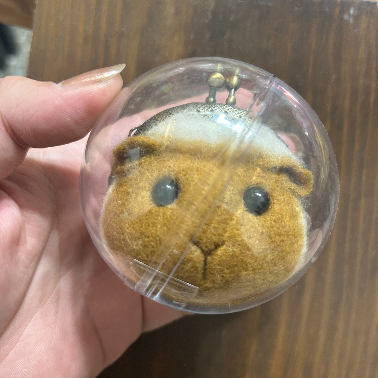 天竺鼠 可愛羊毛氈系列